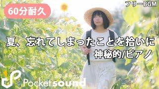 【60分耐久】夏、忘れてしまったことを拾いに：ポケットサウンド【作業用BGM】