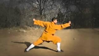 Northern Shaolin Kung Fu 12 Tan Tui ( Shifu Sal Redner )