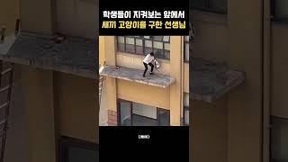 고양이를 구한 선생님