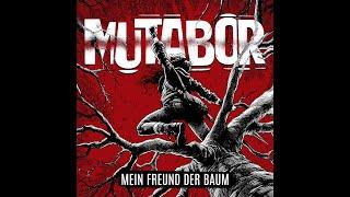 MEIN FREUND DER BAUM  - Singlerelease 11.10.24