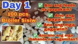 Pag aalaga ng mga broiler sisiw o 45 days sisiw - Mga dapat gawin at ihanda