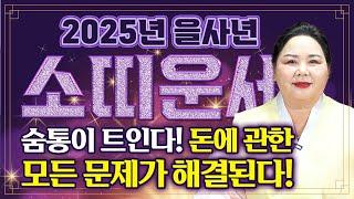 2025년 미리보는 을사년 소띠운세소띠 복 터졌다!! 새로운 한해에 엄청난 변화와 기회가 찾아옵니다! 생각지 못한 큰 돈이 들어온다?! 61년생 73년생 85년생 97년생 운세