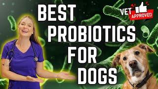 The BEST PROBIOTICS for your DOG'S gut? | Vet Explains