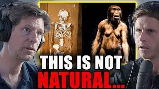 New Analysis of Lucy's Skeleton Just Solved the Mystery of Her Death | Philippe Charlier