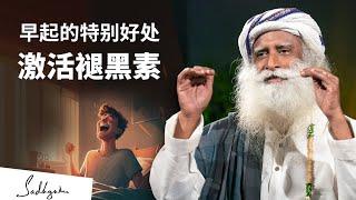 早起的特别好处——激活褪黑素 | Sadhguru 萨古鲁