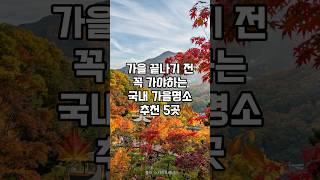 가을 끝나기 전 꼭 가야하는 국내 단풍 명소 추천 5곳 #가을 여행지 베스트 5 #국내 가을 여행지