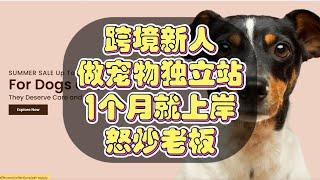 跨境新人，无成本做宠物跨境自建站，仅1个月就上岸，成功炒掉老板获取自由自身