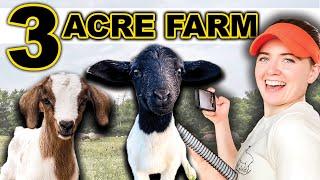 BUILDING A FARM ON 3 ACRES (Beginner Plan)| Small Scale Homesteading Prepper Farming Food Sheep Goat