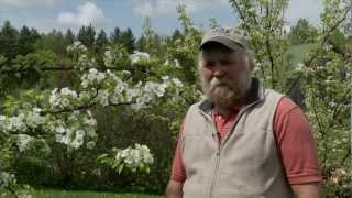 Holistic Orcharding with Michael Phillips DVD Trailer