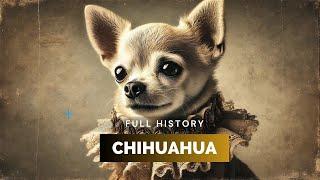 Chihuahua - Full History