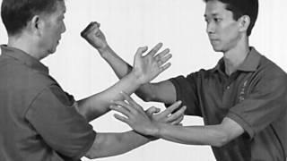 Wing Chun: Lesson 7