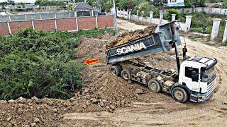 Powerful KOMATSU D58E Bulldozer Clearing Forest and Push Soil to fill land with 25ton Dump Trucks