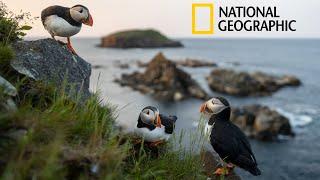 Zero to Nat Geo | A Wildlife Photographer's Journey