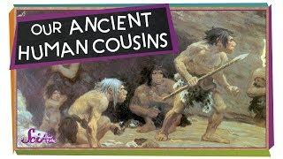 Our Ancient Human Cousins!