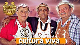 BRIDÕES DE OURO - CULTURA VIVA [MÚSICA NOVA] + DOWNLOAD