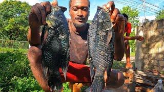 GIANT CAPTURE ROADSIDE CATCH N COOK