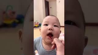 Forgive me for being unkind and laughed so funny. Greedy baby, cute baby, daily life, human cub