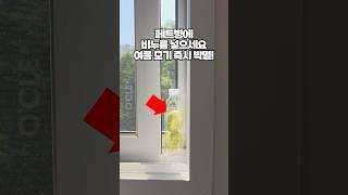 그동안 몰랐습니다. 모기퇴치는 이렇게 하는거였네요! 여름 모기 잡는 꿀팁 부동의 1위