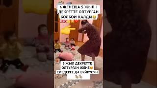 УШУ ЧЫНБЫ? #тикток #моялошадь #прикол #лошадки #дуэт #тиктокнутая #elbruso #юмор #трендытиктока