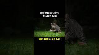 猫が"長く寝る理由"に関する面白い雑学 #生き物 #動物 #豆知識