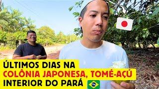 Últimos dias de um japonês na colônia japonesa Tomé-Açu, Pará