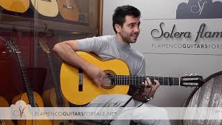 Pedro Muriel flamenco guitar played by Yerai Cortes (feat "Piraña")