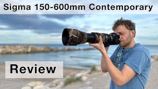 Amazing Value or WASTE OF MONEY? Sigma 150-600mm Contemporary Review for Bird Photography