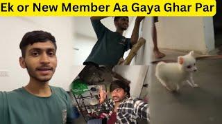 Ek Or New Member Aa Gaya Ghar Par आज तो पापा ने इतने सारे काम दिये | Mohit Yatri