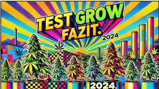 Cannabis Test Grow Fazit  2024