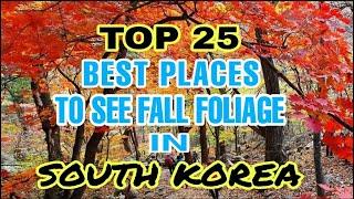 TOP 25 BEST PLACES TO SEE FALL FOLIAGE IN SOUTH KOREA | TOP 25 BEST AUTUMN DESTINATION |  JENNY ACE