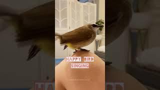 A Happy Bird Will Behave and Sound Like This 