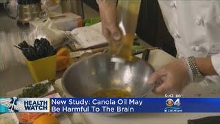 Study: Canola Oil May Be Harmful To The Brain