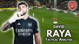 How GOOD is David Raya? ● Tactical Analysis | Skills (HD)