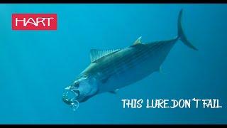 SERIOUS trolling footage, fishing for BONITO and CUDA