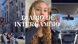 Diário de intercâmbio | #01 