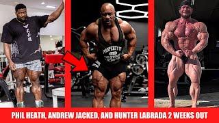 Phil Heath Still Shredded Physique Update + Hunter Labrada 2 Weeks Out + Andrew Jacked Top 3?