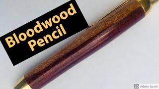 My Journey Into Woodturning #25 - Bloodwood Shop - Artist Pencil