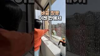 바깥 창문 이젠 안에서 #유리창청소 #살림템 #청소템