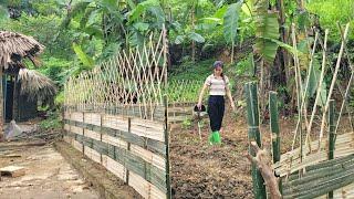 Complete vegetable garden, woven bamboo fence, vegetable growing | Ly Thi Duyen