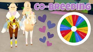 Co-Breeding With @PugCrossaint But *THE WHEEL* Chooses Our Horse Breeds | Wild Horse Islands