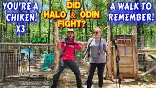 TERRIFYING DOG WALK HAS HAPPY ENDING  | dog, chickens, vlog, couple, tiny house, homesteading |