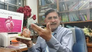 Coronary Artery Disease.Dr Mehdi Hassan, Chief Cardiologist.