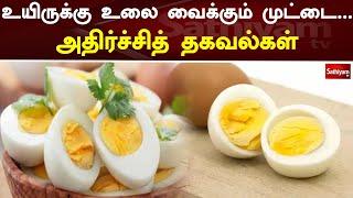 உயிருக்கு உலை வைக்கும் முட்டை...அதிர்ச்சித் தகவல்கள் | Egg | Sathiyam TV