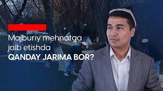 Majburiy mehnatga jalb etishda QANDAY JARIMA BOR?