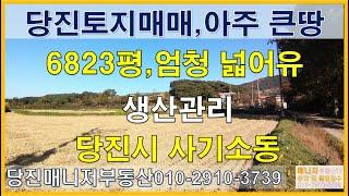 (토200309)당진토지매매,사기소동 아주 넓은 토지 6,823평(22556㎡)