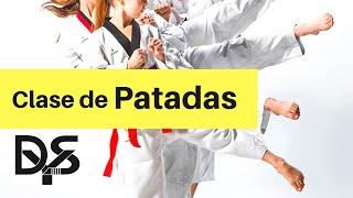 PATADAS de TAEKWONDO (Clase infantil Do Yang Sal)