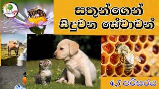 සතුන්ගෙන් සිදුවන සේවාවන් / uses of animals / 4,5 පරිසරය /primary අපි