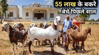 ऐसे शानदार Heavy बकरे देखकर तबियत खुश हो जाएगी | Goat Farming | Bakra Palan