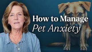 Managing Your Pet's Anxiety (Animal Behavior Tips for Anxiety)