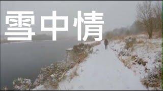 我最鐘意嘅 香港粵語流行曲 「雪中情」/ 原唱+圖夫人 MV/ 送給一生中最愛 / 關正傑 / 南威爾斯 / 英國 / UK